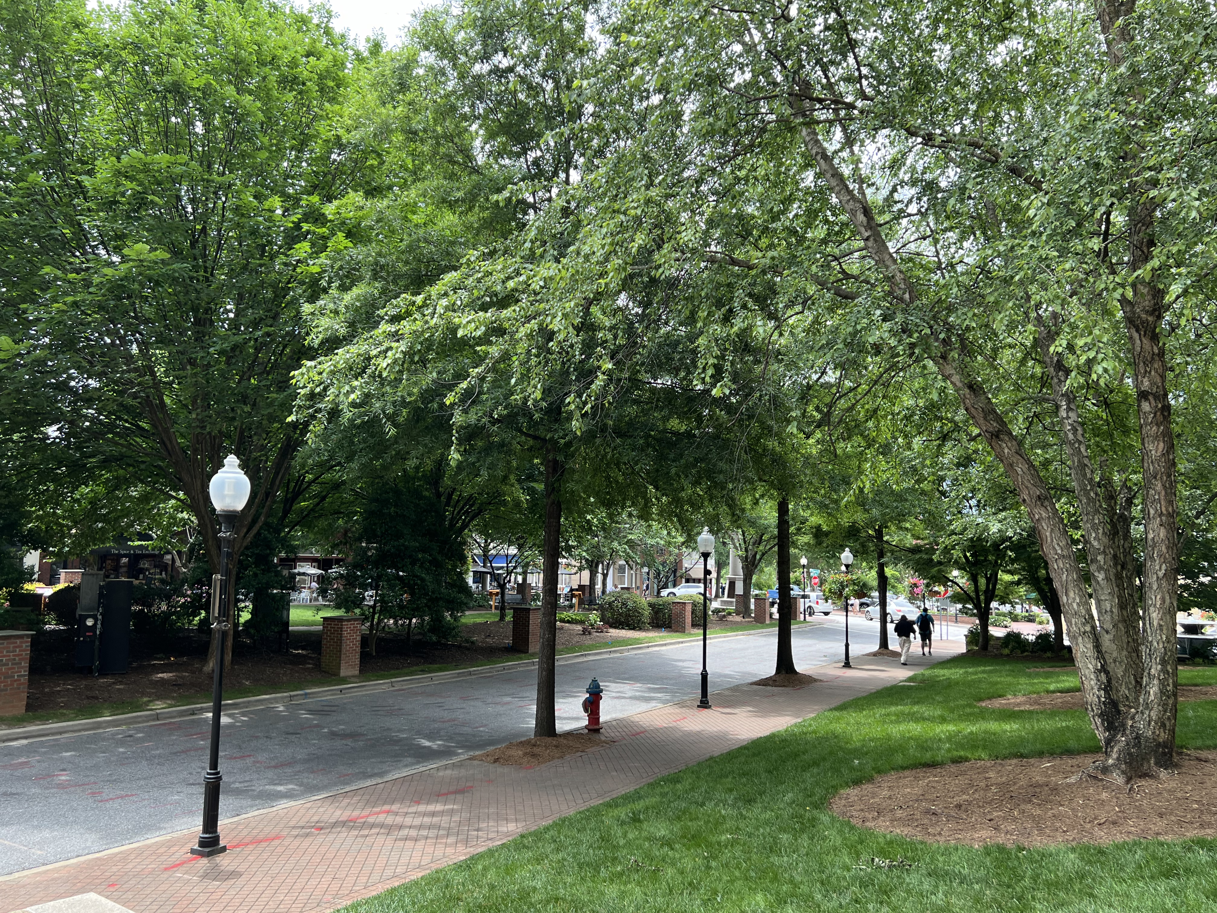 ./2024/07 - Gaffney/IMG_1526.jpg